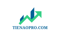 tienaopro.com