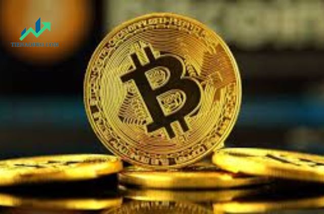 Các Loại Tiền Điện Tử Phổ Biến Được Sử Dụng Trong Bộ Coin Poker